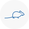 Mice Exterminators In Hampshire
